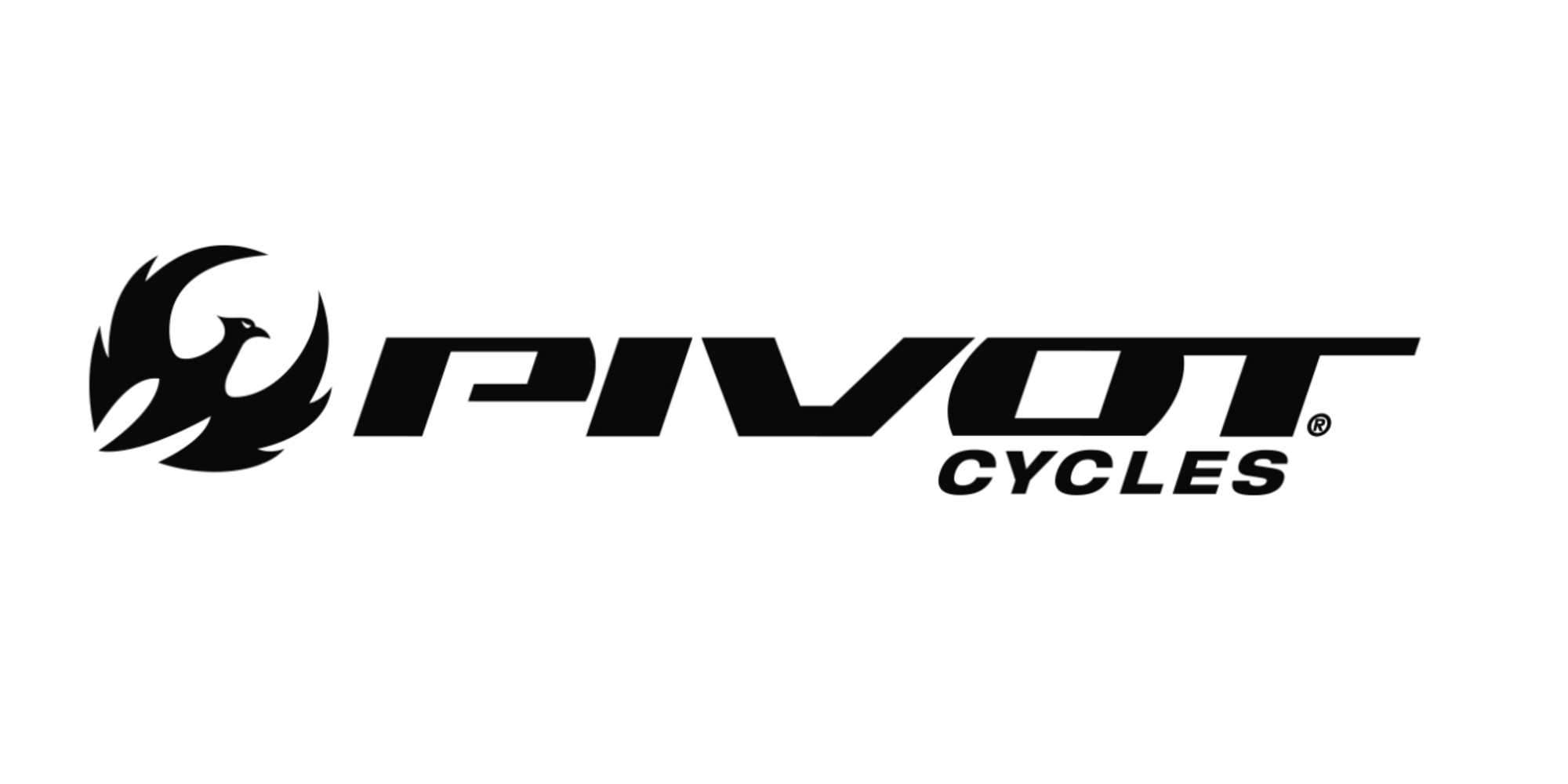 Pivot Cycles Logo - District Bicycle Co.